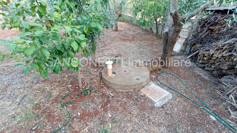 Immagine 49 di Villa in vendita  in ANES a Fasano