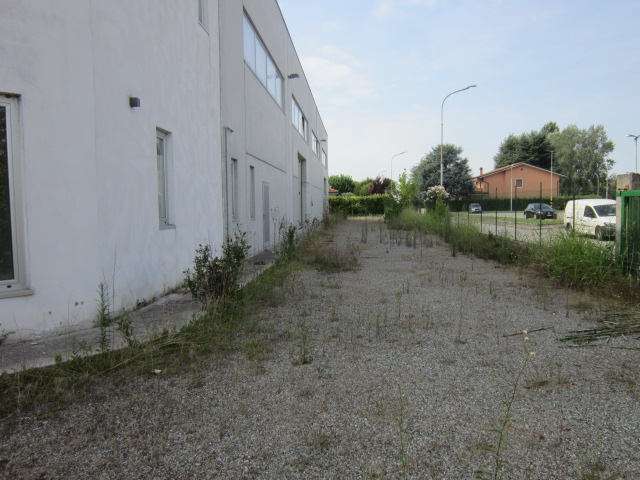 Immagine 2 di Capannone industriale in vendita  in gracco spaziani a Castel D'ario
