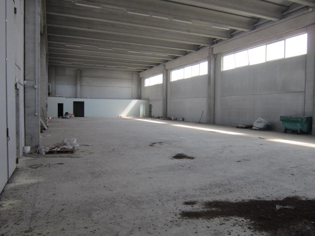 Immagine 8 di Capannone industriale in vendita  in gracco spaziani a Castel D'ario