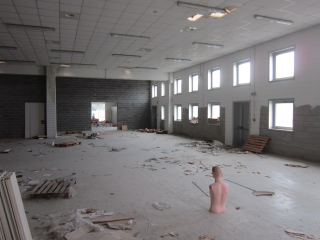 Immagine 5 di Capannone industriale in vendita  in Chiari via Brescia a Chiari