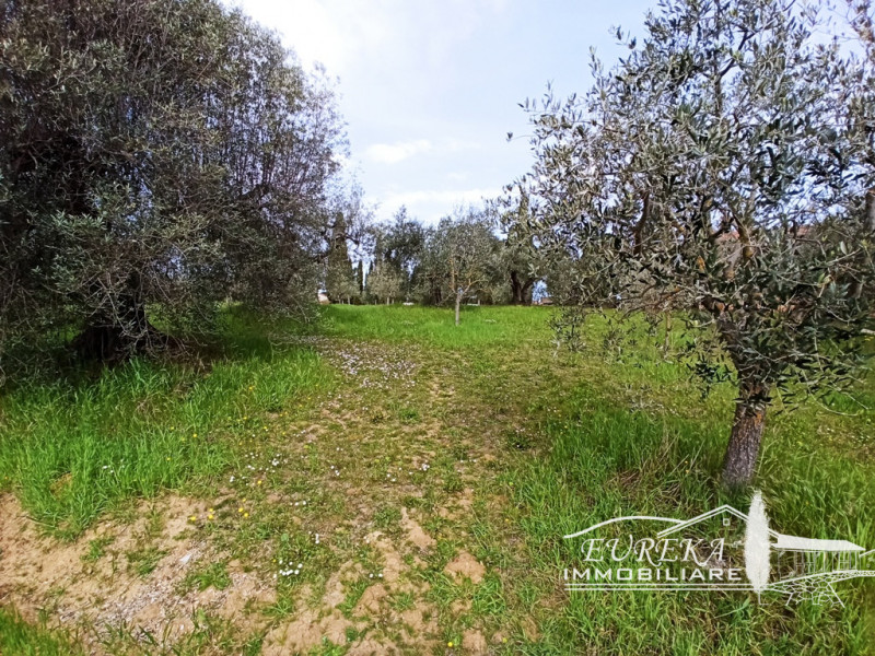 Immagine 3 di Terreno in vendita  in gioiella a Castiglione Del Lago