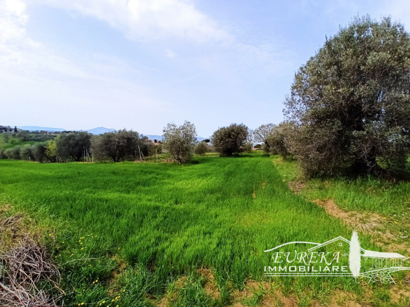 Immagine 6 di Terreno in vendita  in gioiella a Castiglione Del Lago