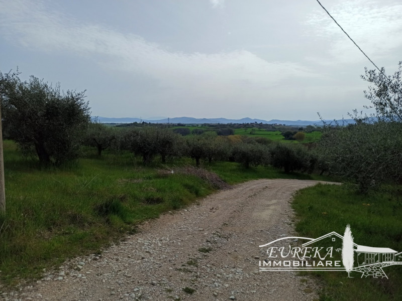 Immagine 7 di Terreno in vendita  in gioiella a Castiglione Del Lago