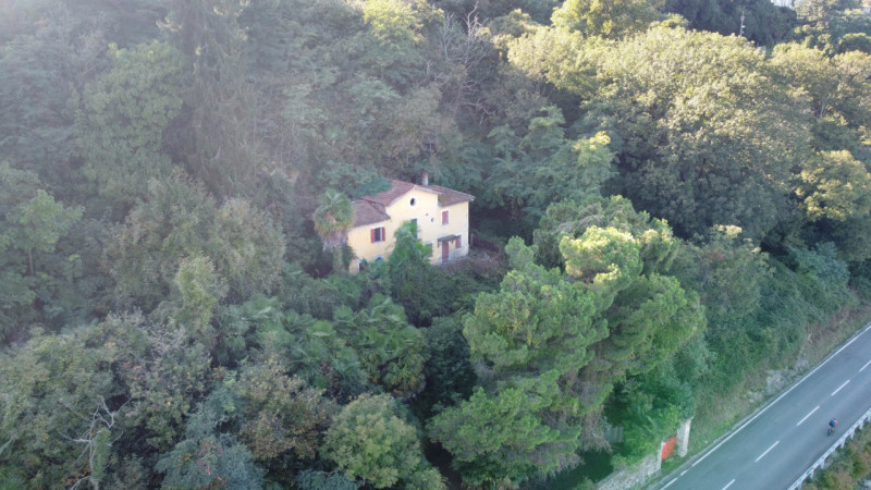 Foto annuncio 6