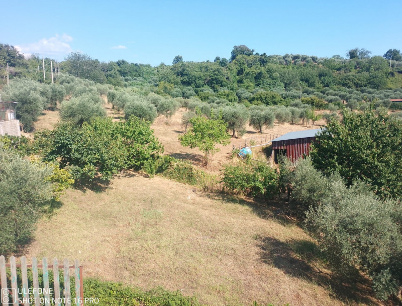 Immagine 2 di Casa indipendente in vendita  in passegiata di san giovanni a Norma