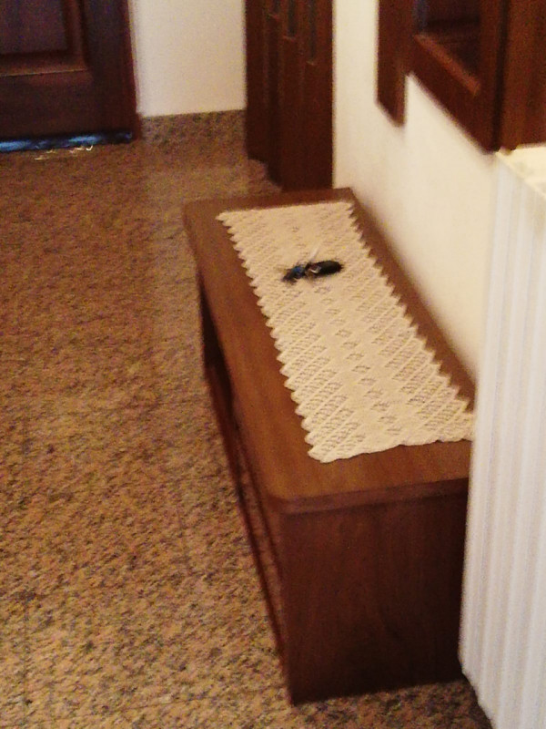 Immagine 17 di Appartamento in vendita  in VIA CASTELLI N. 4 a Grezzana