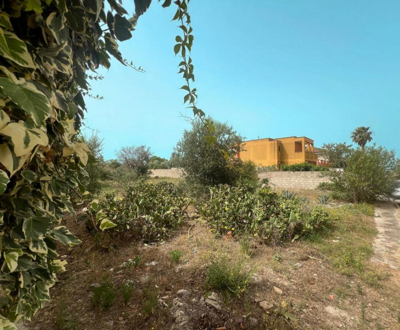 Immagine 3 di Terreno in vendita  in Via Cimabue a Matino