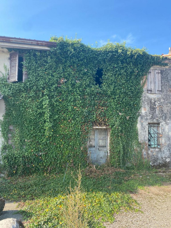 Immagine 6 di Palazzo in vendita  in STRAD MANDRAGO 52 a Roverbella