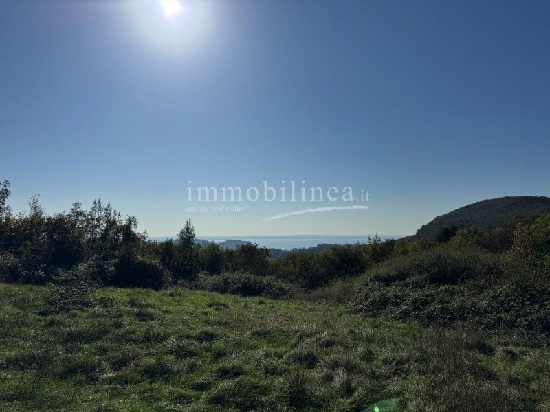 Immagine 8 di Hotel in vendita  in Zel a Costermano sul Garda