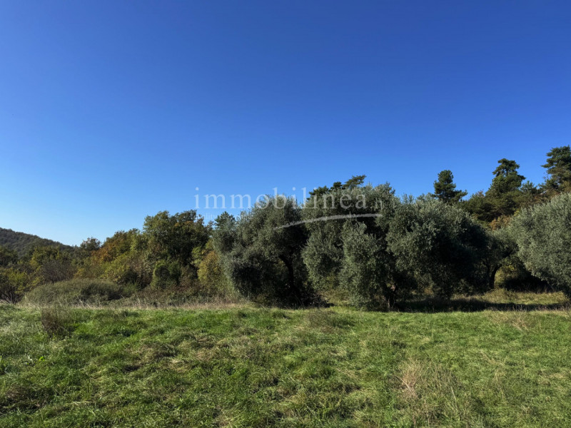 Immagine 13 di Hotel in vendita  in Zel a Costermano sul Garda