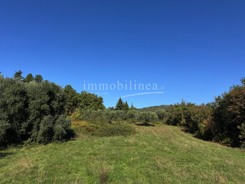 Immagine 15 di Hotel in vendita  in Zel a Costermano sul Garda