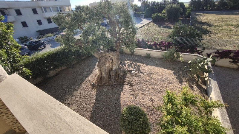 Immagine 36 di Villa in vendita  in CASAV a Fasano