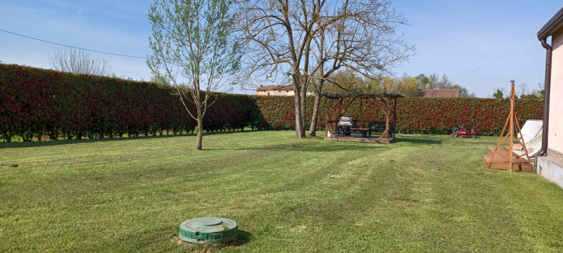 Foto annuncio 9