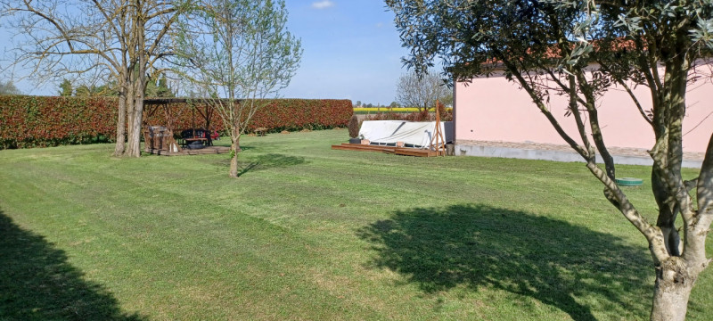 Foto annuncio 31