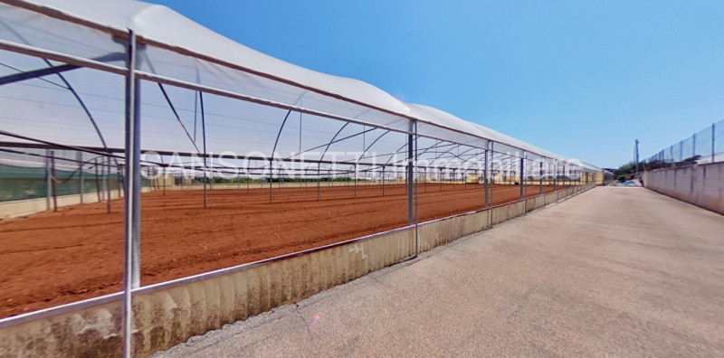 Immagine 56 di Villa in vendita  in Fascianello a Fasano