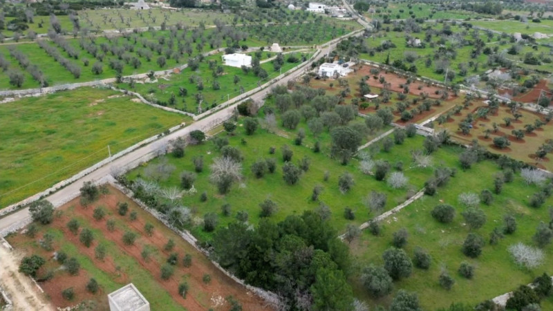 Immagine 2 di Terreno in vendita  in Via Leopaldi, Salve LE, Italia a Salve