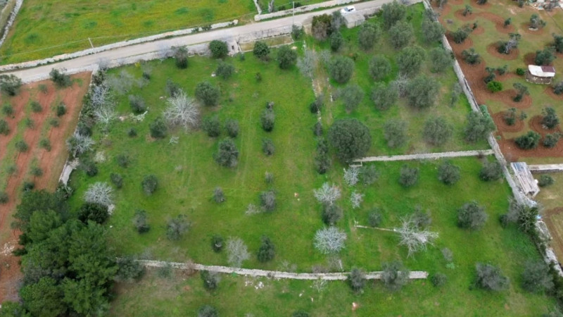 Immagine 3 di Terreno in vendita  in Via Leopaldi, Salve LE, Italia a Salve
