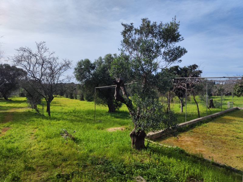 Immagine 5 di Terreno in vendita  in Via Leopaldi, Salve LE, Italia a Salve