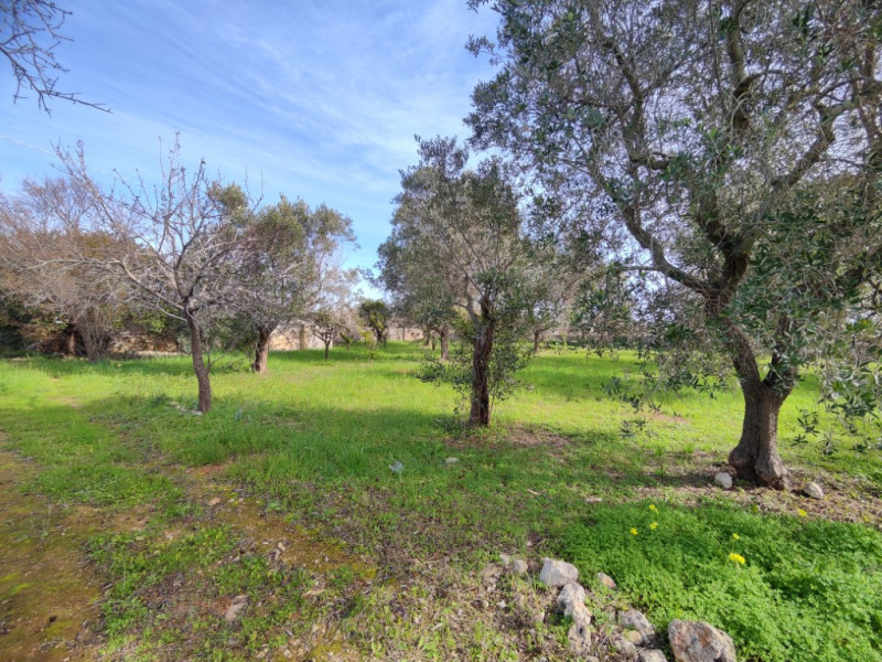 Immagine 6 di Terreno in vendita  in Via Leopaldi, Salve LE, Italia a Salve