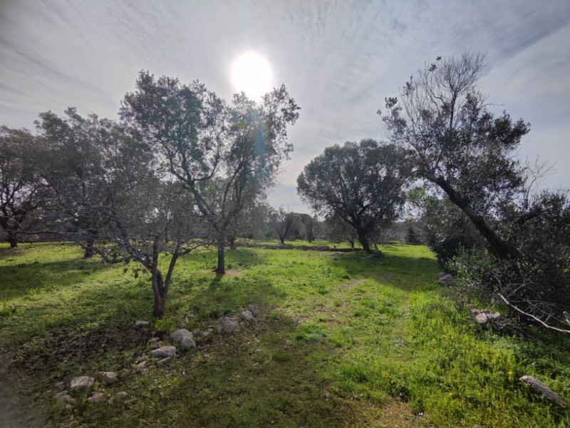 Immagine 7 di Terreno in vendita  in Via Leopaldi, Salve LE, Italia a Salve