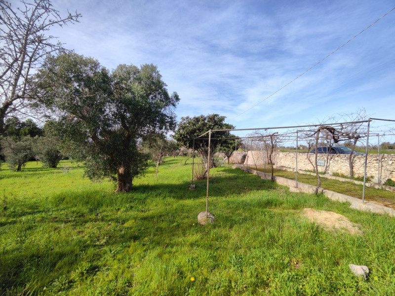 Immagine 9 di Terreno in vendita  in Via Leopaldi, Salve LE, Italia a Salve