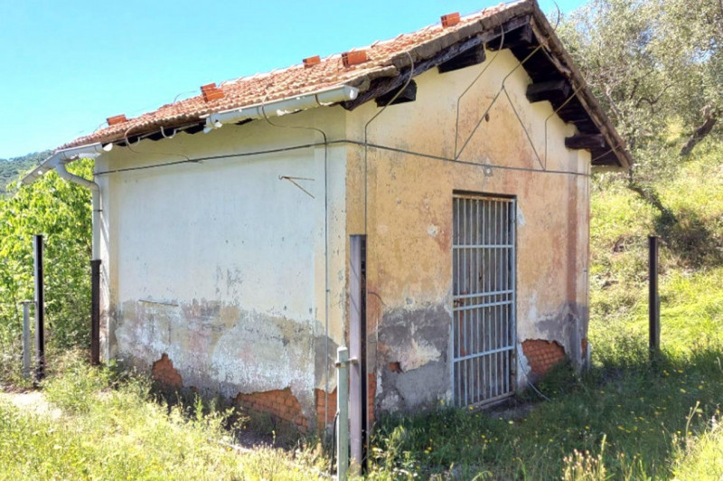 Immagine 7 di Terreno in vendita  in Strada Provinciale 45, N. snc a Pietrabruna