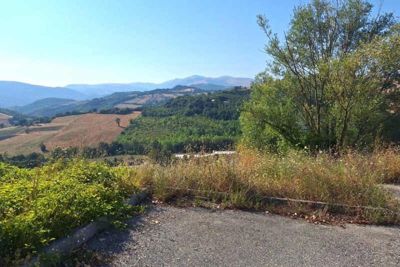 Immagine 3 di Terreno in vendita  in Strada Provinciale 45, N. snc a Pietrabruna