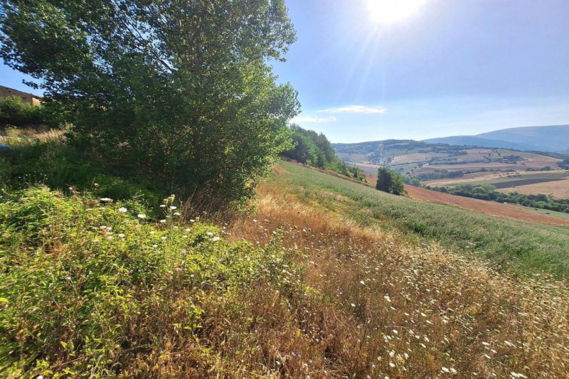 Immagine 6 di Terreno in vendita  in Strada Provinciale 45, N. snc a Pietrabruna