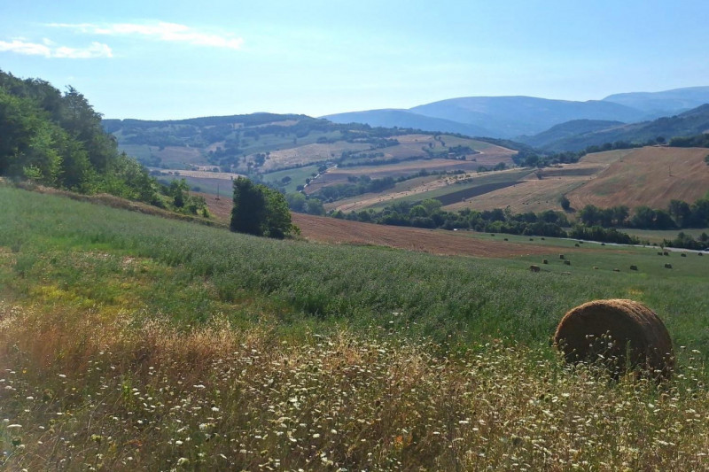 Immagine 10 di Terreno in vendita  in Strada Provinciale 45, N. snc a Pietrabruna