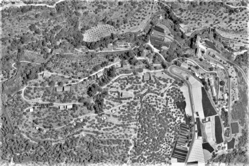 Immagine 12 di Terreno in vendita  in Strada Provinciale 45, N. snc a Pietrabruna