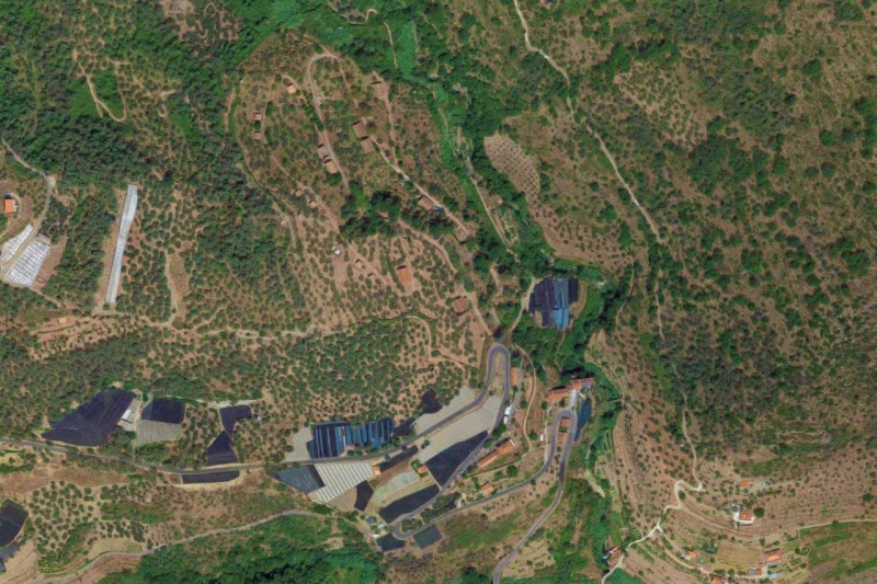 Immagine 17 di Terreno in vendita  in Strada Provinciale 45, N. snc a Pietrabruna