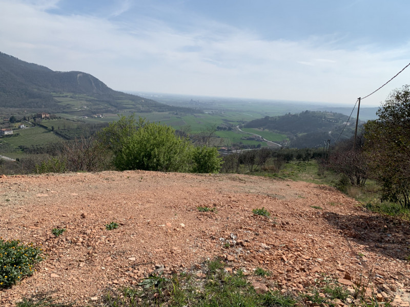Foto annuncio 6