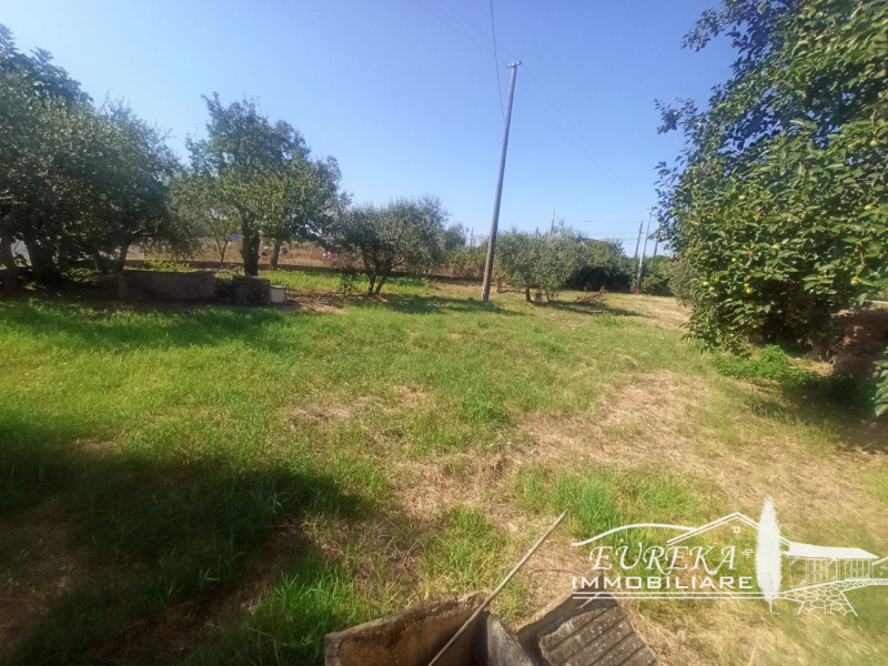 Immagine 8 di Casa indipendente in vendita  in via roma 152 a Castiglione Del Lago