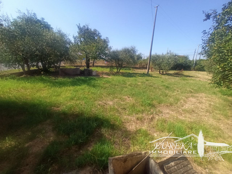 Immagine 9 di Casa indipendente in vendita  in via roma 152 a Castiglione Del Lago