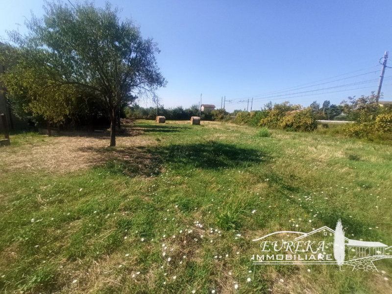 Immagine 14 di Casa indipendente in vendita  in via roma 152 a Castiglione Del Lago