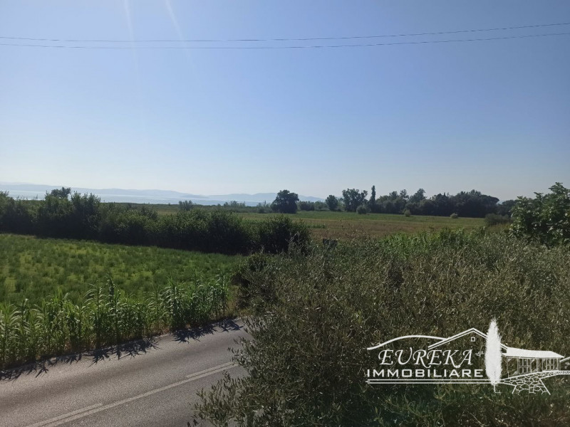 Immagine 20 di Casa indipendente in vendita  in via roma 152 a Castiglione Del Lago