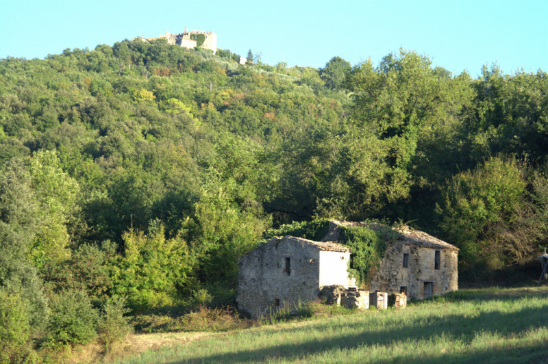 Immagine 2 di Casa indipendente in vendita  a Collazzone