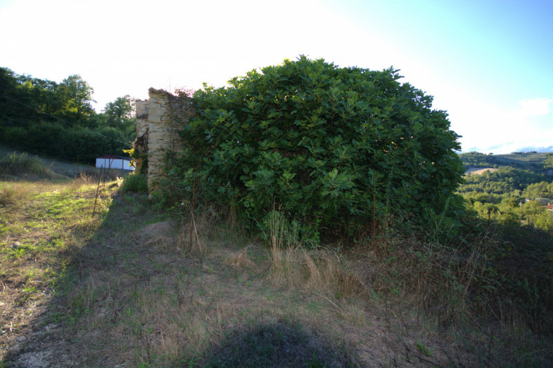 Immagine 11 di Casa indipendente in vendita  a Collazzone