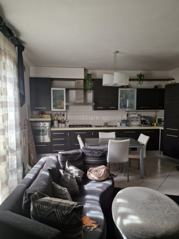 Immagine 1 di Appartamento in vendita  a Sinalunga