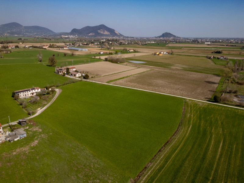 Immagine 8 di Terreno in vendita  in via Granzette a Monselice