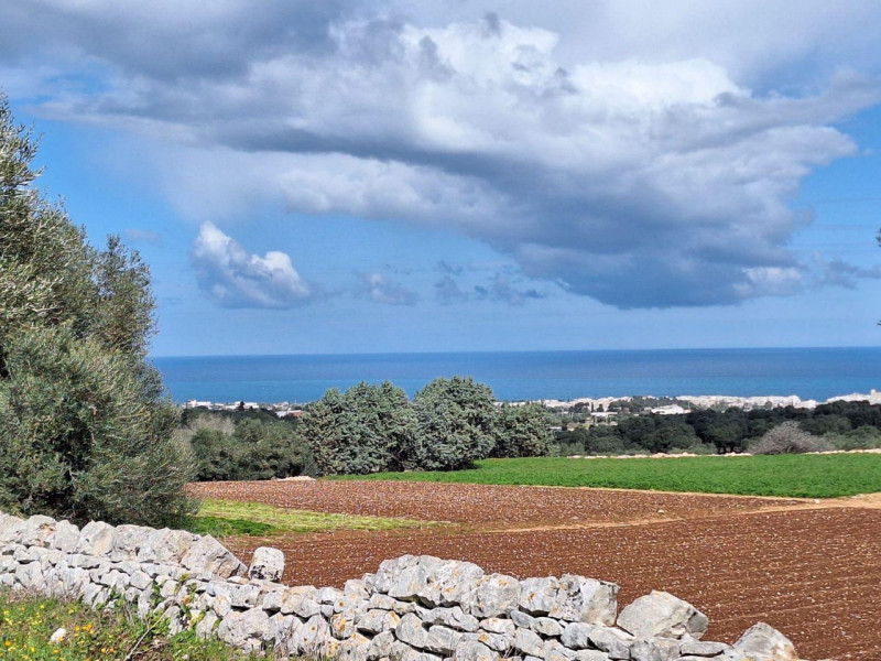 Immagine 5 di Cantina in vendita  in Via Antonio Gramsci, N. 50 a Foligno