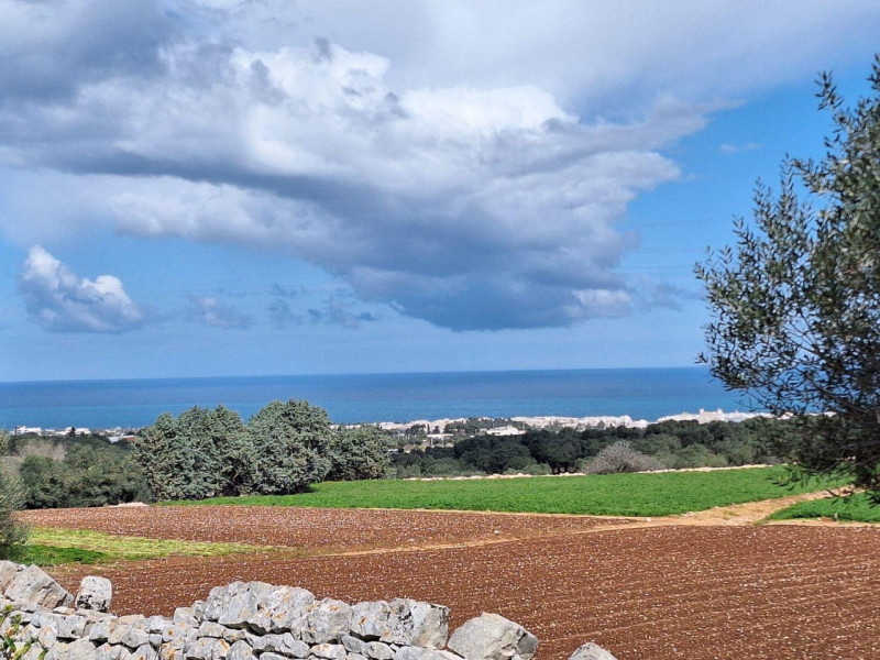 Immagine 9 di Cantina in vendita  in Via Antonio Gramsci, N. 50 a Foligno