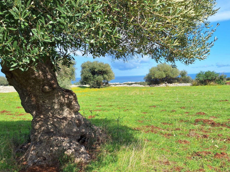 Immagine 10 di Cantina in vendita  in Via Antonio Gramsci, N. 50 a Foligno