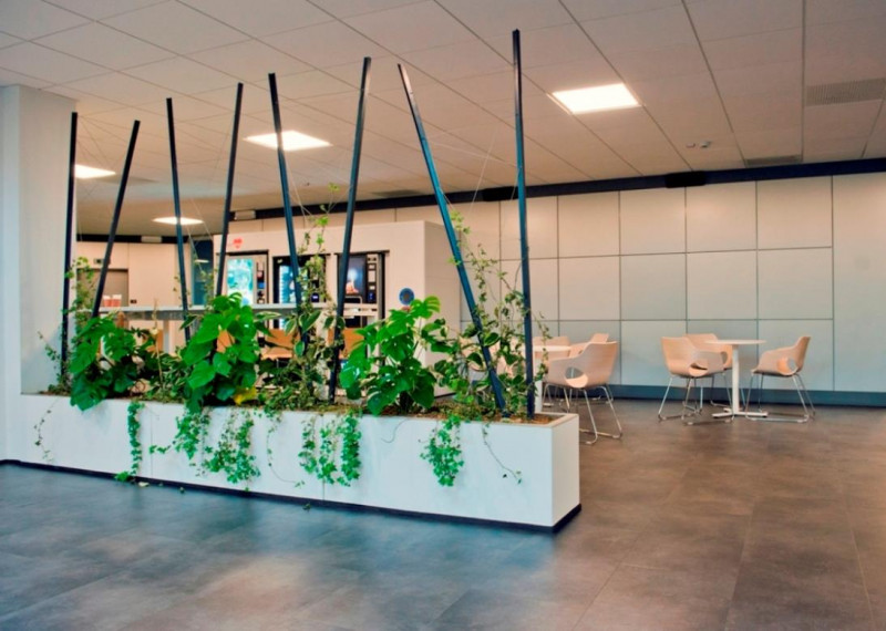 Immagine 4 di Ufficio in affitto  in VIA CANTU' CESARE a Cinisello Balsamo