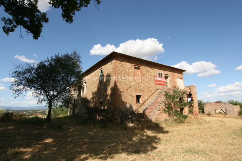 Immagine 2 di Rustico / casale in vendita  a Torrita Di Siena