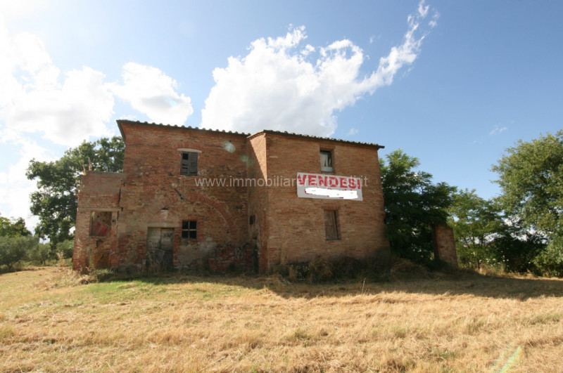 Immagine 3 di Rustico / casale in vendita  a Torrita Di Siena