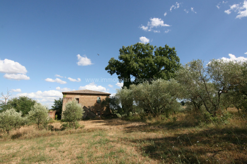 Immagine 10 di Rustico / casale in vendita  a Torrita Di Siena