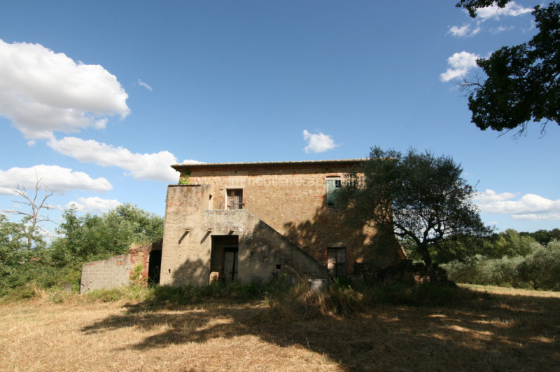 Immagine 11 di Rustico / casale in vendita  a Torrita Di Siena