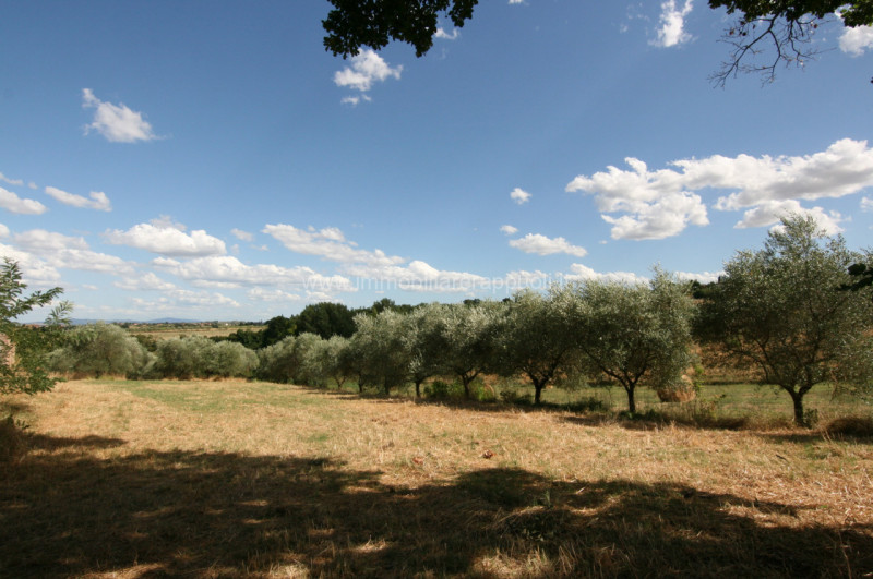 Immagine 12 di Rustico / casale in vendita  a Torrita Di Siena