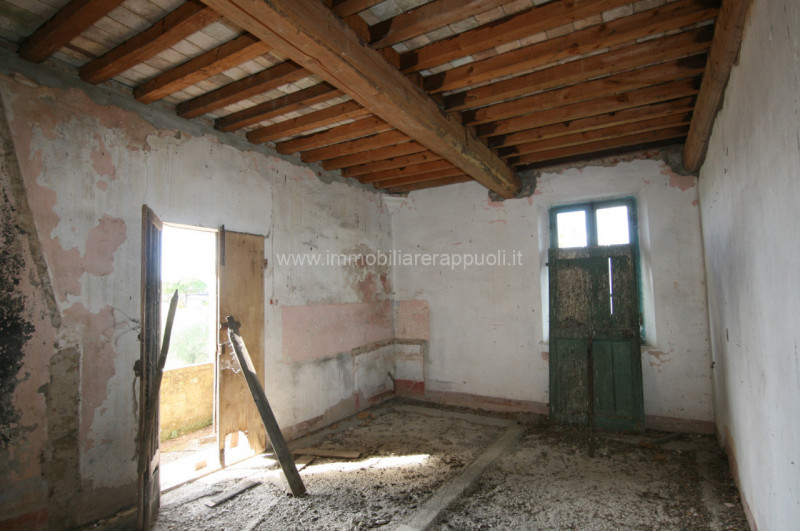 Immagine 19 di Rustico / casale in vendita  a Torrita Di Siena